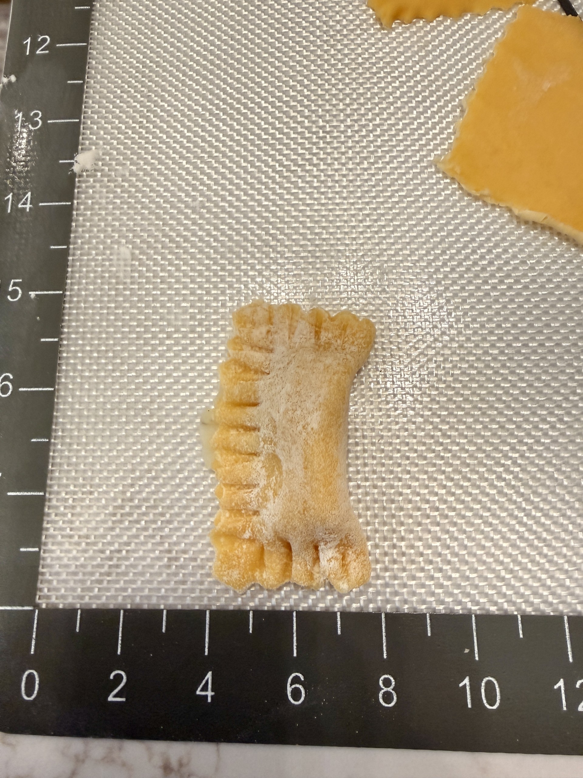 Filling and folding fresh agnolotti during Christmas Eve pasta making